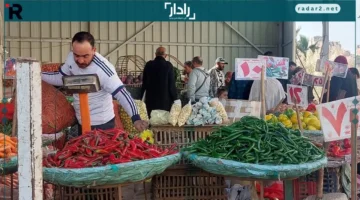 تحديث سعر الخضروات في سوق العبور الأحد 19-10-2025